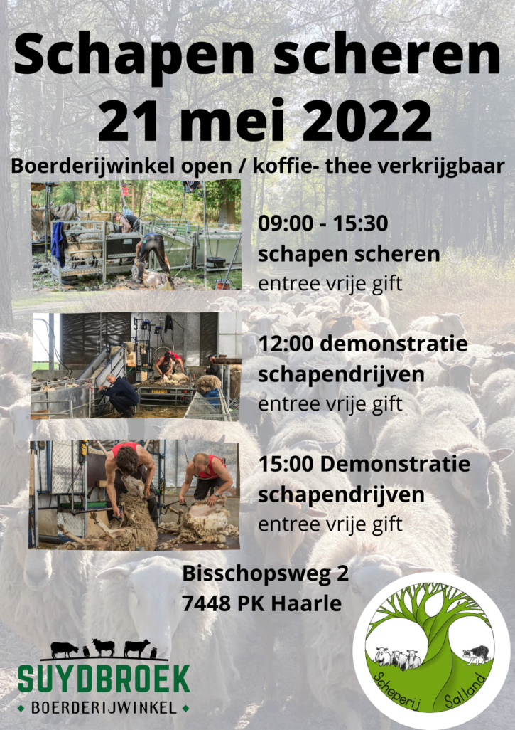 Schapen scheerders dag schaapscheerdersdag