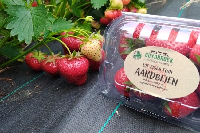 IMG_20240604_204011_1 (1)